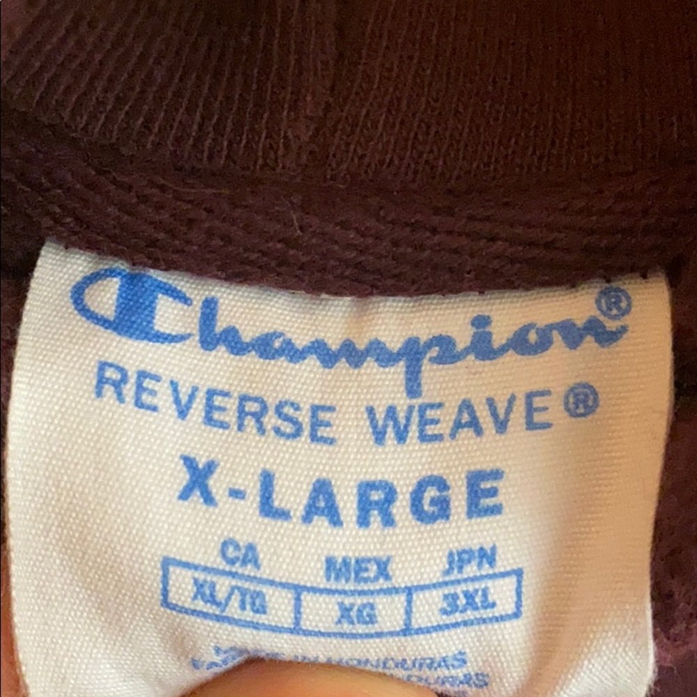 Champion Reverse Weave Hoodie - Picture 2 of 4